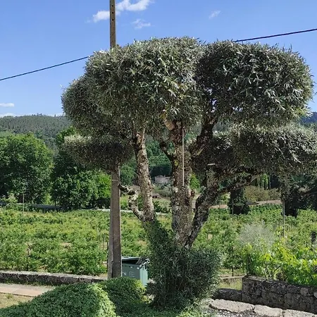 Casa Da Escola مزرعة للإقامة